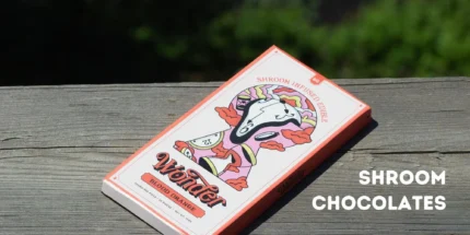 Mushroom Chocolate