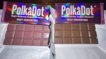 Polkadot Mushroom Chocolate