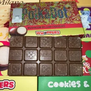 polka dot mushroom chocolate