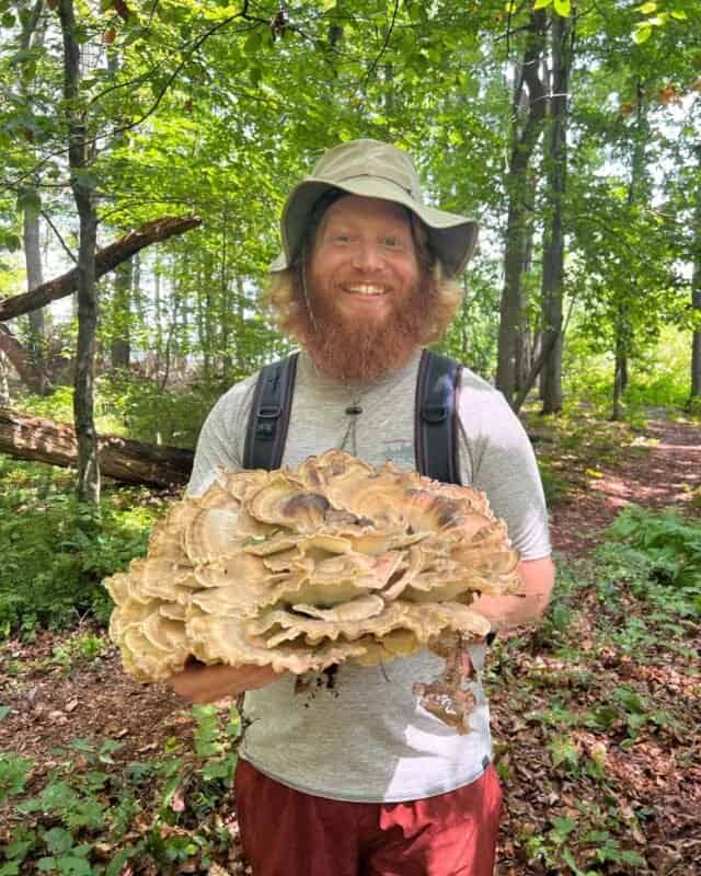 shroomifybros