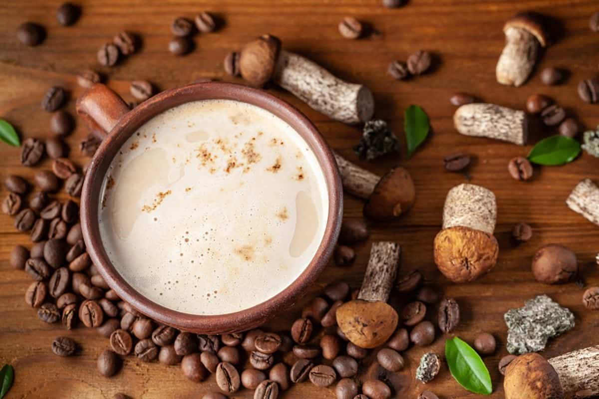ryze coffee, ryze mushroom coffee, ryze mushroom coffeereviews, ryze reviews, ryze coffee reviews, ryze mushroom coffee benefits, ryze superfoods, ryze mushroom coffee ingredients, does ryze really work, ryze superfoods reviews, ryze coffee benefits, ryze ingredients, ryze coffee ingredients, rise mushroom coffee, benefits of ryze mushroom coffee, does ryze have caffeine, ryze coffee near me, ryze customer service, ryze mushroom, ryze coffee where to buy, ryse coffee, is ryze coffee good for you, mushroom coffee ryze, ryze review,