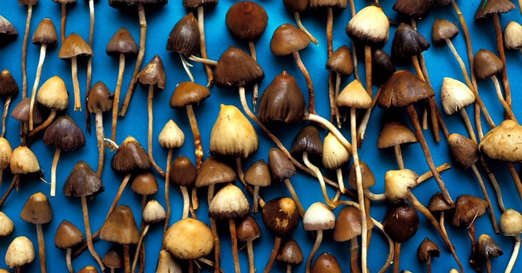 magic mushrooms and deprdepression