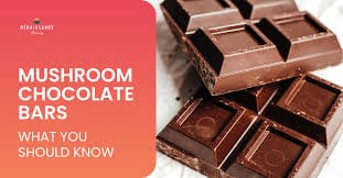mushroom chocolate bars effects